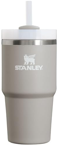 Stanley Quencher H2.0 FlowState Stainless Steel Vacuum Insulated Tumbler with Lid and Straw for Water, Iced Tea or Coffee, Smoothie and More, Ash, 20oz