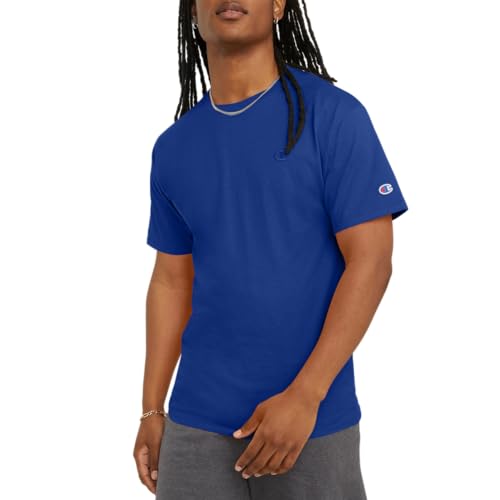 Champion mens Classic Jersey Tee Shirt, Surf the Web, Small US