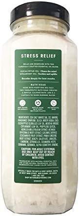 Bath & Body Works Bath & Body Works Aromatherapy Stress Relief Eucalyptus Spearmint 17.0 Oz Bath Soak, 17.0 Oz