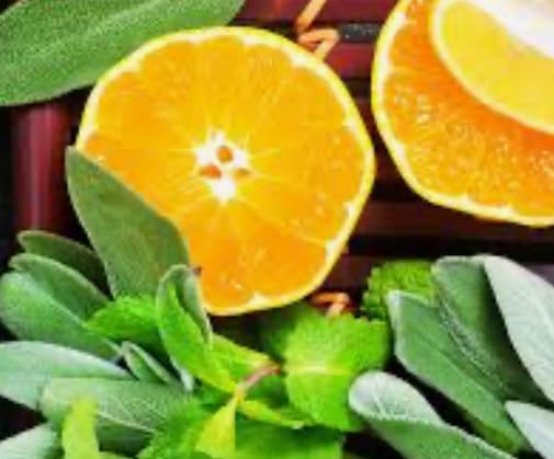 Sage and Citrus Perfume - Essential Oil/Perfume Blend, Roll On Long Lasting, Aromatherapy,10ml