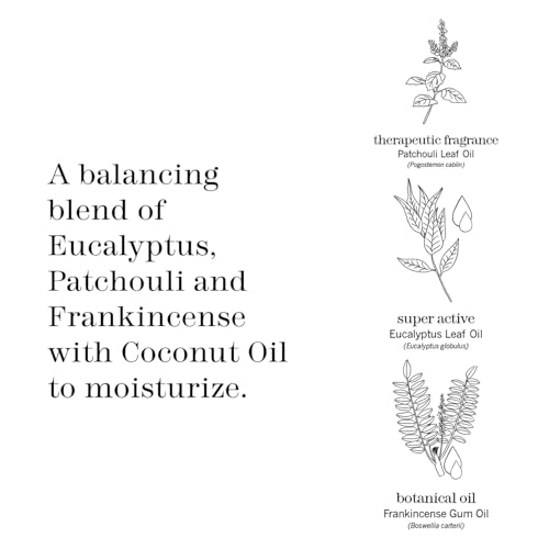 This Works In The Zone Body Lotion & Shower Gel Duo: Hydrating Moisturizer & Refreshing Body Wash with Essential Oils, Eucalyptus & Frankincense, Vegan, 10.1 oz Each
