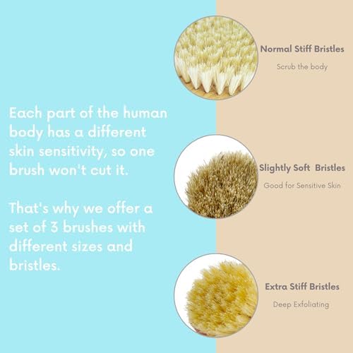 4pcs Dry Brushing Body Brush Set for Lymphatic Drainage-Natural Bristle Dry Skin Brush +Facial Dry Brush for Face+Dry Skin Exfoliating Scrubber+Wood Therapy Massage Tool. Gua Sha, Anti-Cellulite.