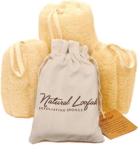 All Natural Loofah Sponge, Pack of 3 Real Egyptian Bath & Shower Exfoliating Loofa Scrubber Sponges for Face, Back & Body, Eco Friendly, No Toxic Chemicals, 6" x 6" by Crafts of Egypt