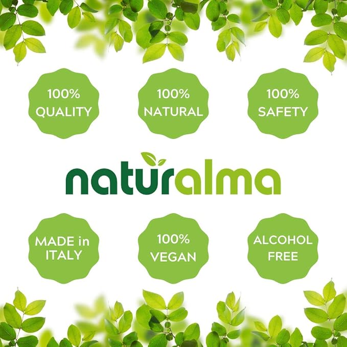 Naturalma Ginkgo (Ginkgo biloba) Leaf Alcohol-Free Tincture - 16.9 fl oz Liquid Extract in Drops - Herbal Supplement - Vegan