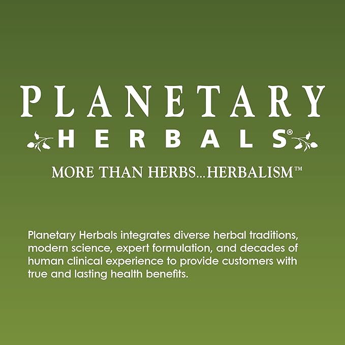 Planetary Herbals Well Child, Alcohol Free, Echinacea-Elderberry Herbal Syrup - 2 Fluid oz