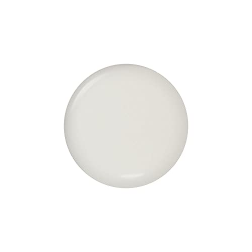Dazzle Dry Nail Lacquer (Step 3) - Fine China - A sheer milky white. Simple and clean. (0.5 fl oz)