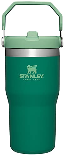 Stanley IceFlow Stainless Steel Tumbler with Straw - Vacuum Insulated Water Bottle for Home, Office or Car - Reusable Cup with Straw Leak Resistant Flip - Cold for 12 Hours or Iced for 2 Days (Polar)
