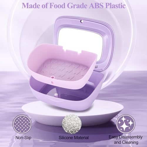Double Layer Retainer Case With Mirror, Retainer Holder With Remover Tool And Cleaning Brush With Vent Holes Compatible With Aligner Case, Retainer Case,Orthodontic Supplies Case