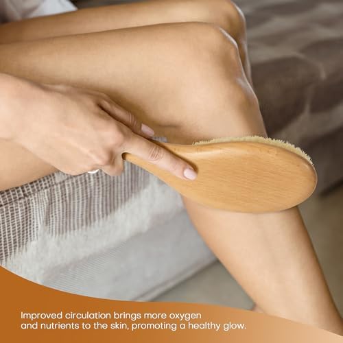 Dry Brush for Body, Natural Bristle Dry Exfoliating Body Brush for Skin Care, Cellulite, Lymphatic Drainage