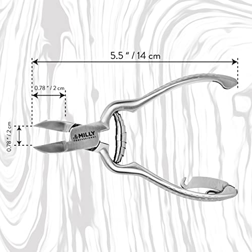 High Carbon Stainless Steel Heavy Duty Toenail Clippers for Thick Toenails | Trim Thick or Hard Toenails | Professional Nail Clippers for Seniors & Podiatrist Toenail Clippers (Silver)