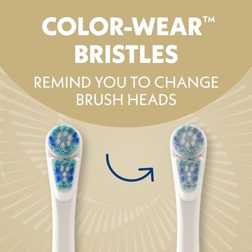 Spinbrush Smart Clean Battery Powered Electric Toothbrush for Adults with Dual Action Head, Pacer & Timer, Champagne, Soft Bristles, 1 Count