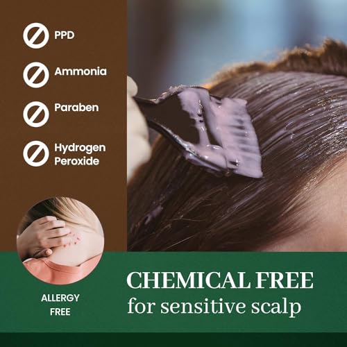 DONGSUNG Herb Speedy Color Cream (Soft Black, 1 Pack), PPD-Free Ammonia-Free Vegan Hair Dye with Sun Protection, Odorless, Gentle for Sensitive Scalp, No Eye or Scalp Irritation
