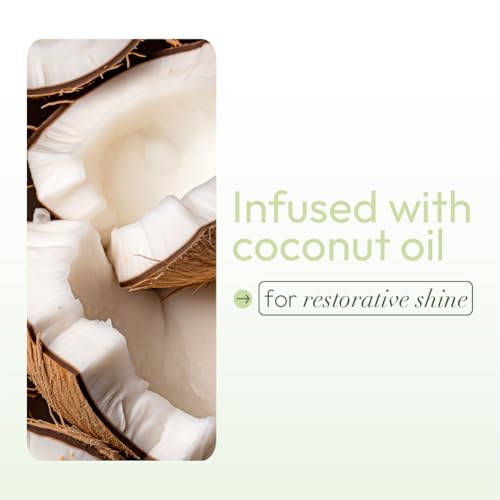 ORS Olive Oil Nourishing Sheen Spray Infused with Coconut for Restorative Shine Alcohol Free 2 Ounce (Pack of 2)