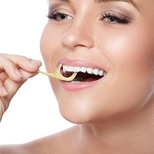Natural Dental Floss Picks - Eco Friendly Cruelty Free & Vegan Tooth Flossers Pick Set with BPA Free Handle & Zero Waste Packaging - 200 Pack (Mint Flavored)