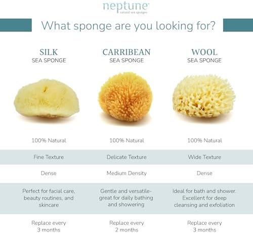 Neptune Caribbean Sea Sponge 2 Pack, Hand Cut, Extra Large, Approx. 7-8 inches