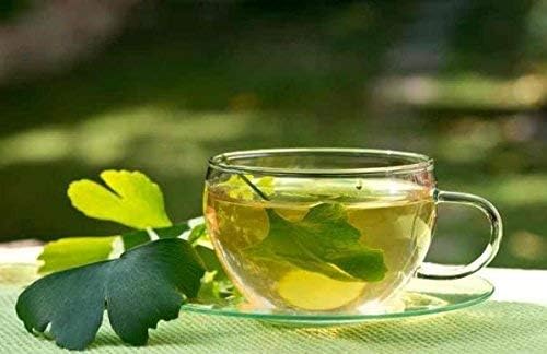 Ginkgo Leaf - Premium Ginkgo Biloba Loose Leaf 100% from Nature (08 oz)