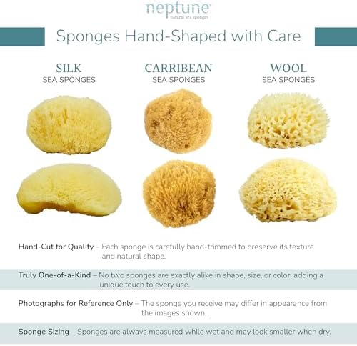 Neptune Caribbean Sea Sponge 2 Pack, Hand Cut, Extra Large, Approx. 7-8 inches