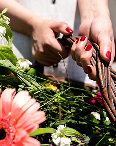 PODERM - nail Polish – Enriched with Tea Tree – Improves nail appearance – Ingredients Natural/Vegan - foot/hand - Swiss Made (Powder Pink)
