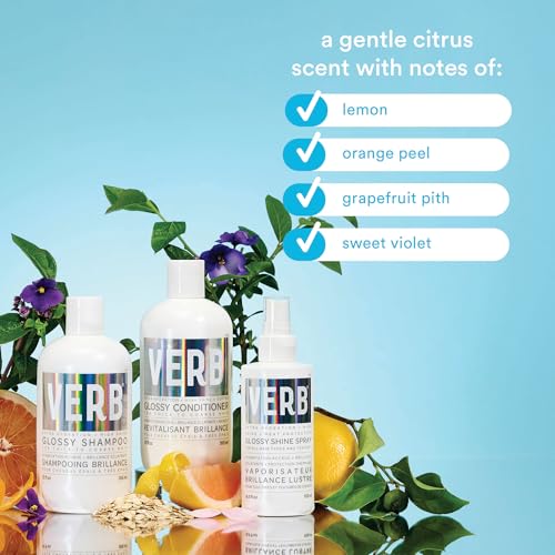 VERB Glossy Shampoo – Cleanses + Adds High Shine for Thick to Coarse Hair – Vegan, No Parabens or Harmful Sulfates