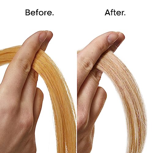 L'Oréal Professionnel Paris Color Depositing Purple Shampoo - Neutralizes Unwanted Yellow Tones For Natural, Color-Treated or Bleached, White & Blonde Hair
