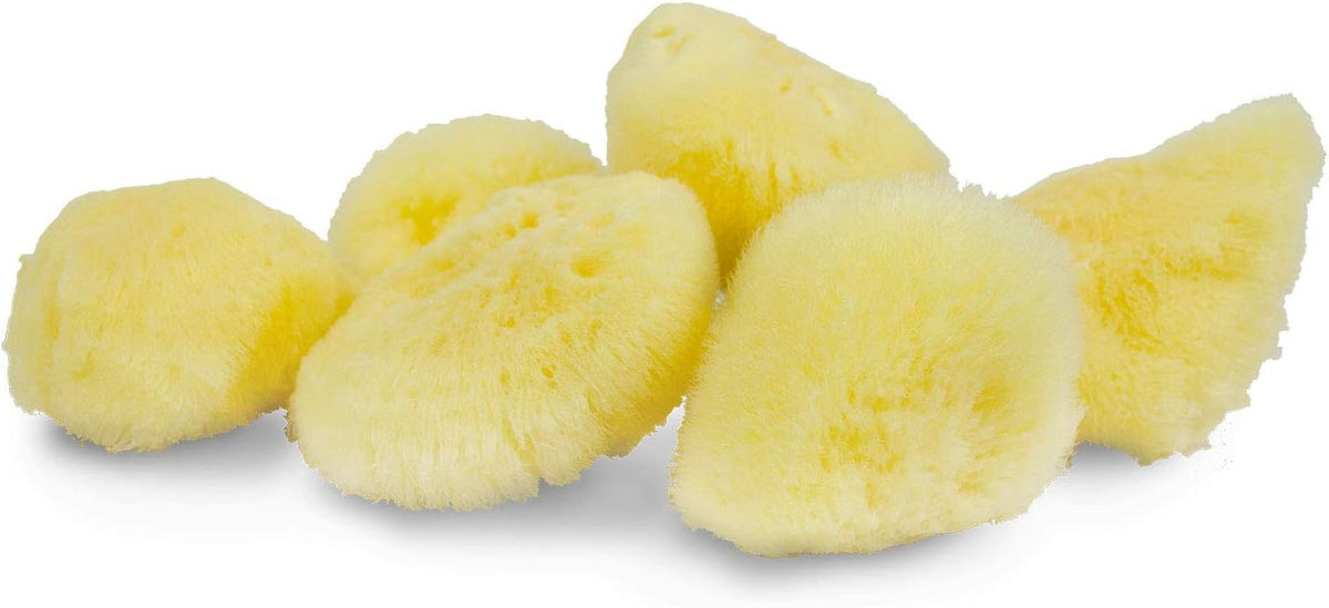 Sea Silk Sponge 6pc Kit, Hand Cut, Small, Approx. 1-2 inches, Ideal for Cosmetic Use and Facial Cleansing