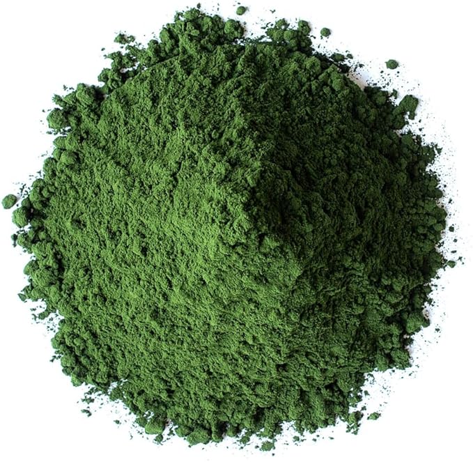 Food to Live Organic Chlorella Powder, 4 Ounces — Non-GMO, Kosher, Raw Green Algae, Vegan Superfood, Bulk, Pure Vegan Green Protein, Rich in Vitamins and Minerals, Great for Drinks, Broken Cell Wall
