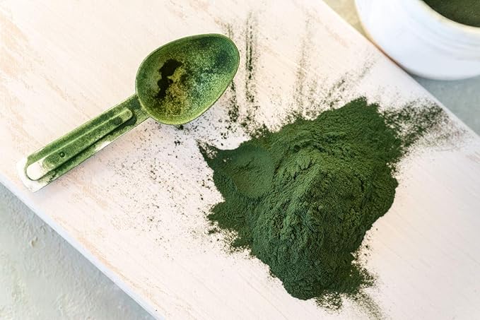 Food to Live Organic Chlorella Powder, 4 Ounces — Non-GMO, Kosher, Raw Green Algae, Vegan Superfood, Bulk, Pure Vegan Green Protein, Rich in Vitamins and Minerals, Great for Drinks, Broken Cell Wall