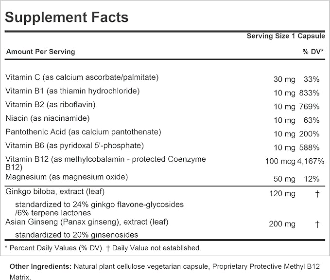 ANDREW LESSMAN Ginkgo 120 Plus Ginseng 200-240 Capsules - Standardized Extract Blend to Support Brain, Memory and Cognitive Function. Adaptogen, Combats Stress and Fatigue. No Additives