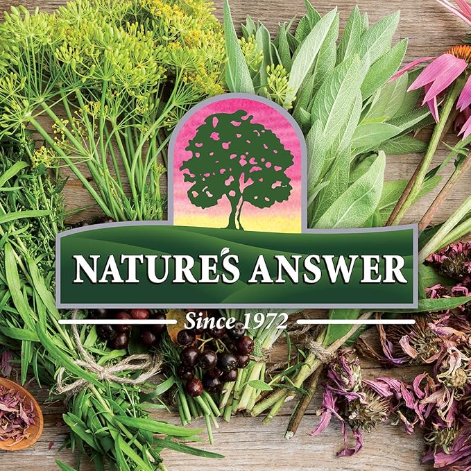 Nature's Answer Sambucus Dietary Supplement, Original for Daily Immune and Antioxidant Support | Made in The USA | Alcohol-Free, Gluten-Free & Vegan 4oz (Pack 1)